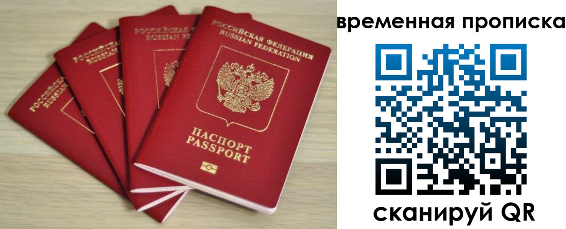 прописка для школы в Вязьме